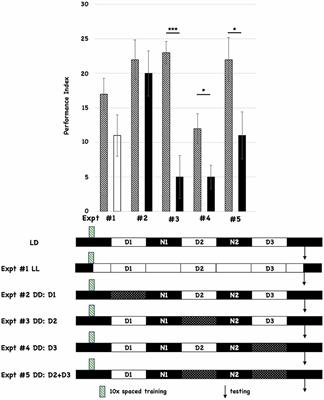Circadian disruption of memory consolidation in Drosophila